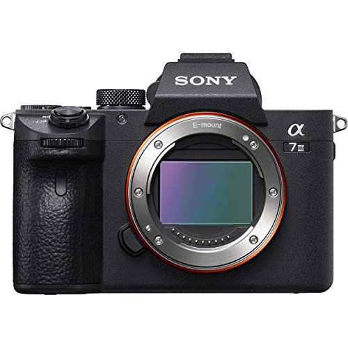 Sony Cámara a7 III de fotograma completo sin espejo con...