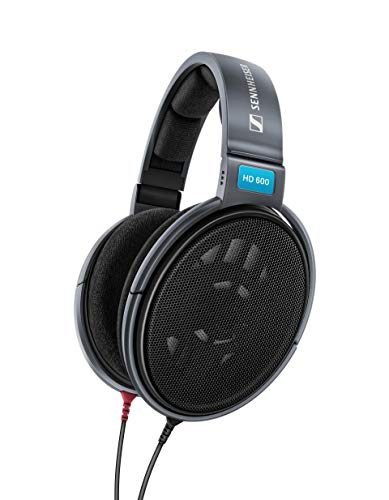 Sennheiser Consumer Audio HD 600 - Auriculares dinámico...