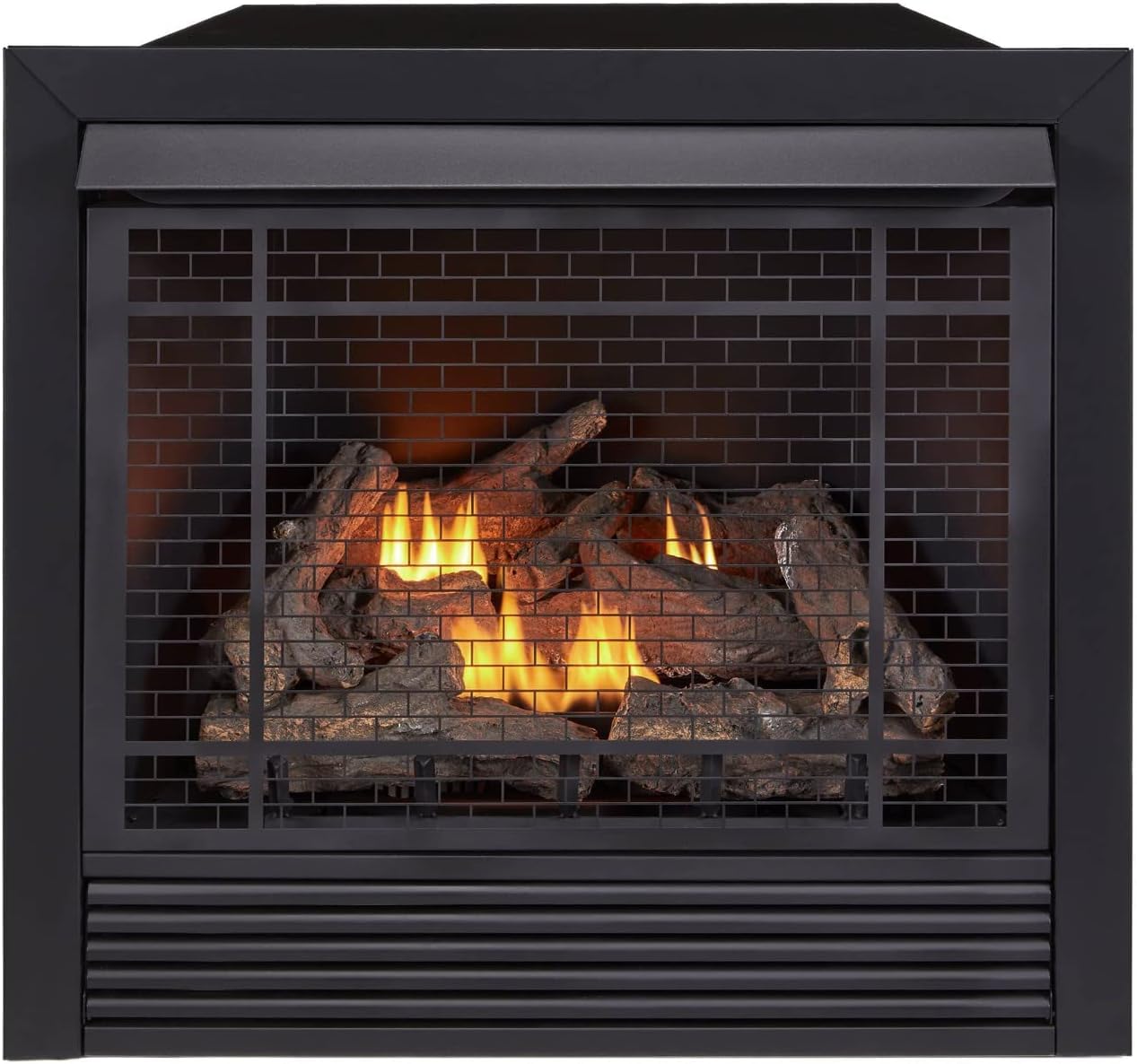 Duluth Forge Dual Fuel Ventless Gas Fireplace Insert, R...